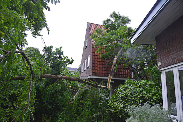 2017/120/20170606-19u04 GB 002 Stormschade Zilvermeeuwstraat.jpg